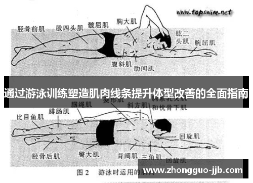 通过游泳训练塑造肌肉线条提升体型改善的全面指南 通过游泳训练塑造肌肉线条提升体型改善的全面指南